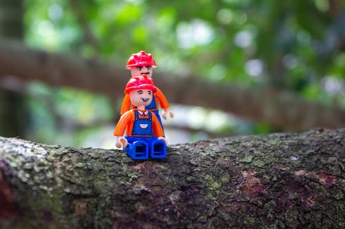 有关微型, 景深, 木材表面的免费素材图片