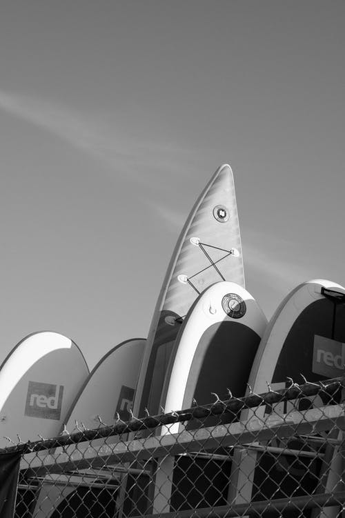 有关桨板, 水上运动, 灰度摄影的免费素材图片