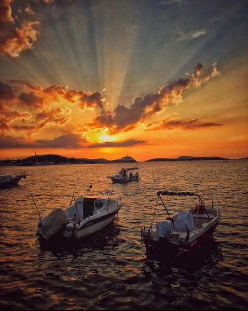 有关剪影, 垂直拍摄, 天性的免费素材图片