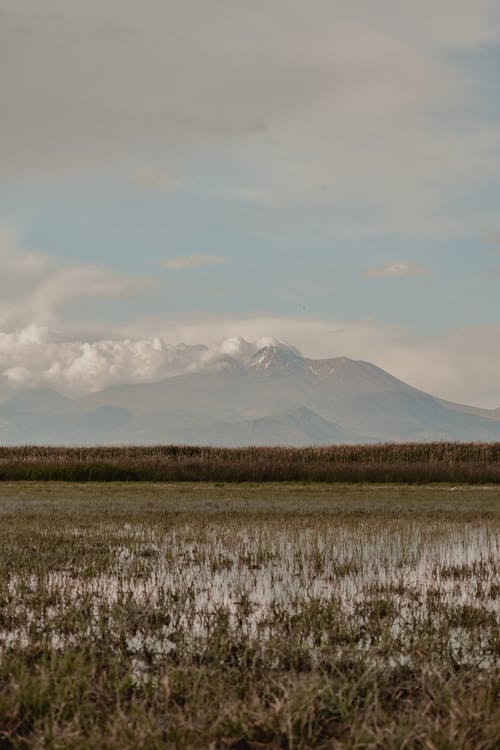 有关垂直拍摄, 天性, 山的免费素材图片