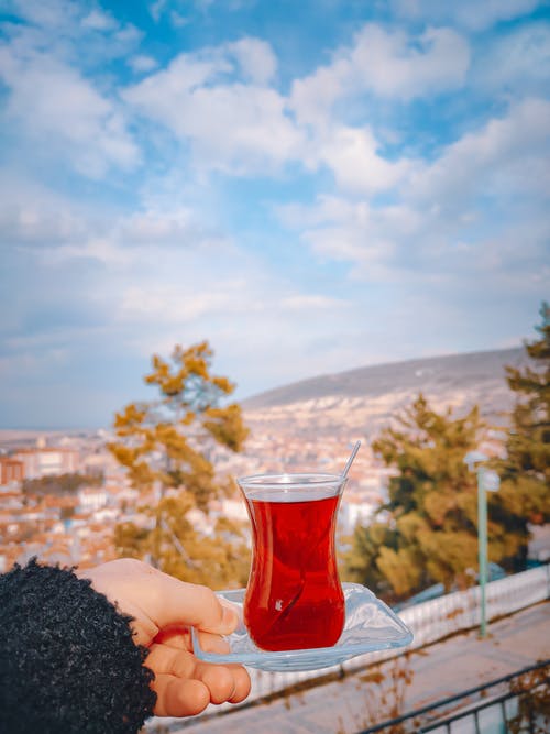 有关垂直拍摄, 小碟子, 树木的免费素材图片