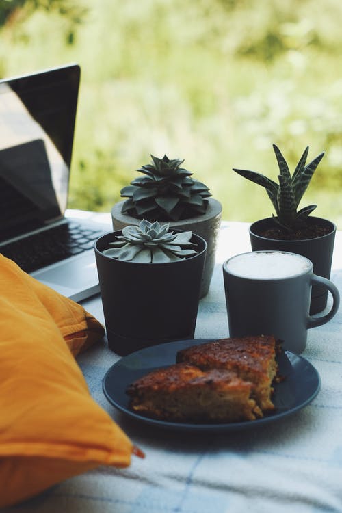 有关垂直拍摄, 多肉植物, 杯子的免费素材图片