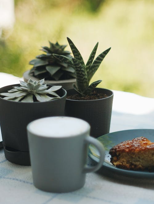 有关завтрак, кофе, пирог的免费素材图片