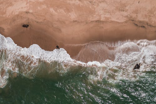 有关天性, 戶外, 招手的免费素材图片
