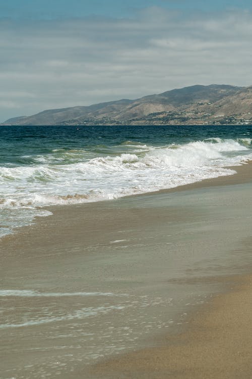 有关垂直拍摄, 天性, 岸边的免费素材图片