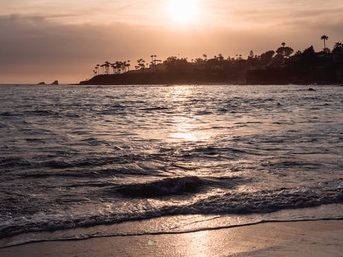 有关剪影, 天性, 岸边的免费素材图片