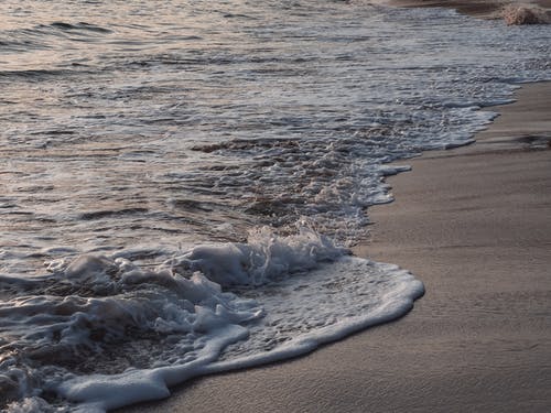 有关天性, 岸边, 招手的免费素材图片