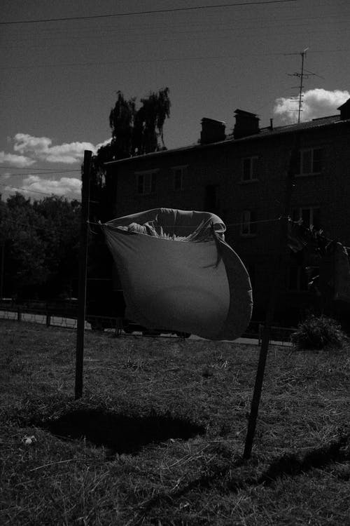 有关@户外, 乾燥, 垂直拍摄的免费素材图片