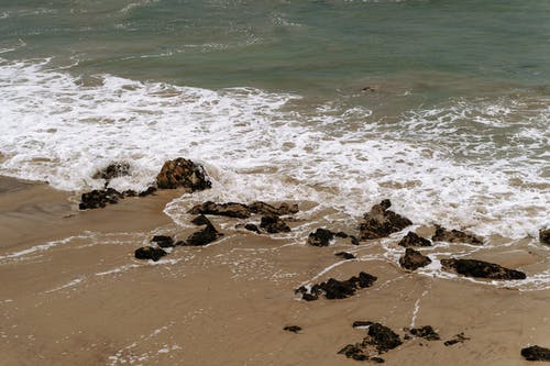 有关天性, 岸边, 海的免费素材图片