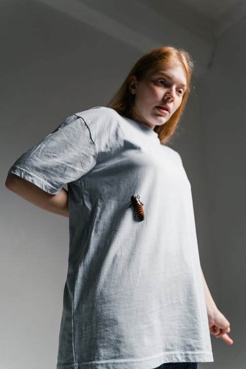 有关问题, 垂直拍摄, 压力的免费素材图片