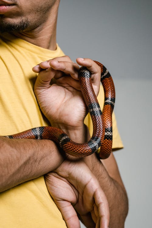 有关人, 问题, 垂直拍摄的免费素材图片