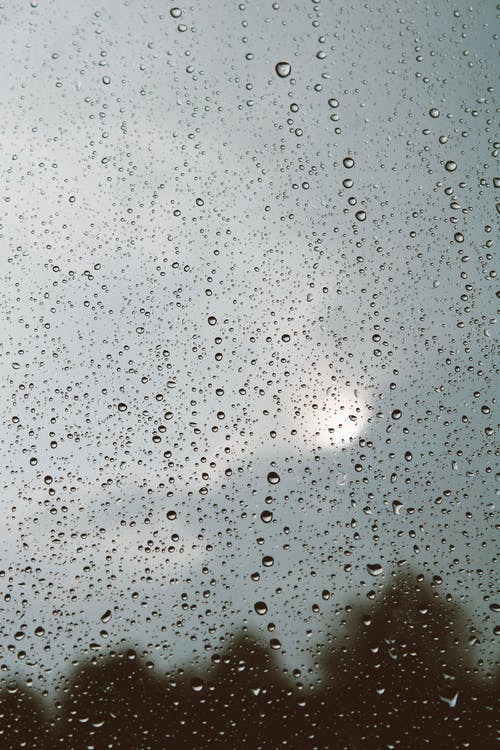 有关垂直拍摄, 水滴, 湿的免费素材图片