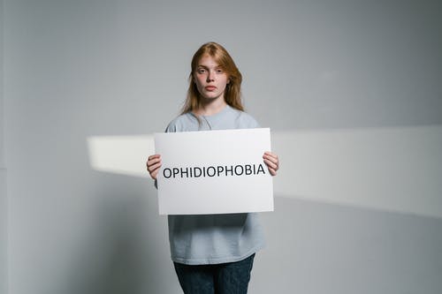 有关问题, 压力, 女人的免费素材图片