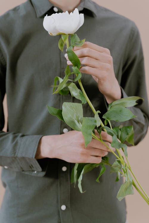 有关垂直拍摄, 干, 手的免费素材图片