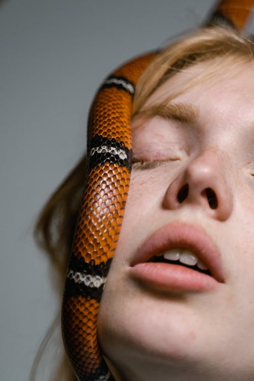 一个女人克服对蛇的恐惧的特写照片 · 免费素材图片