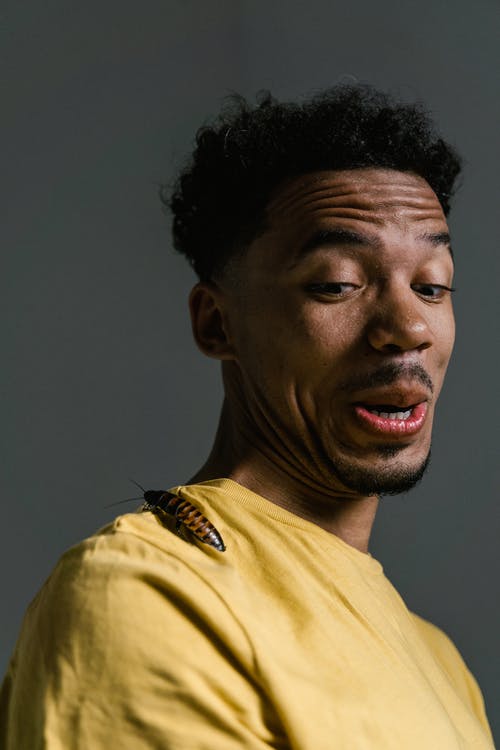 有关人, 问题, 垂直拍摄的免费素材图片