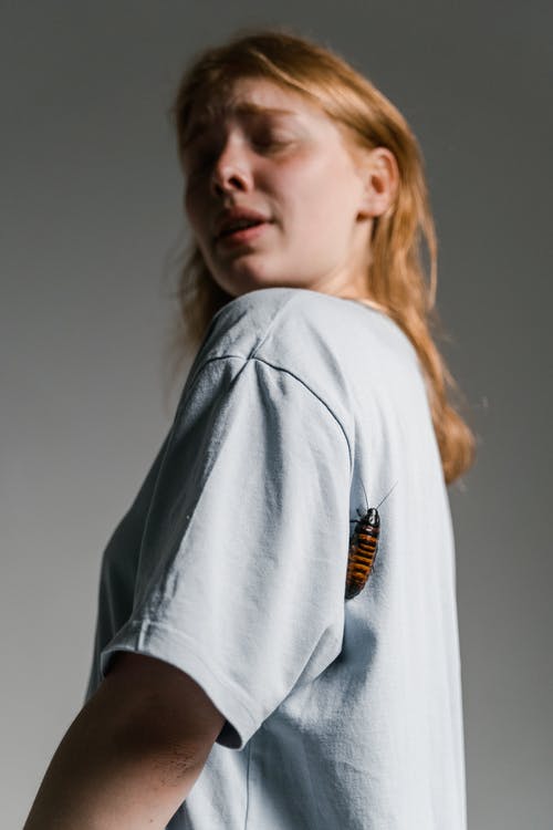 有关问题, 垂直拍摄, 女人的免费素材图片