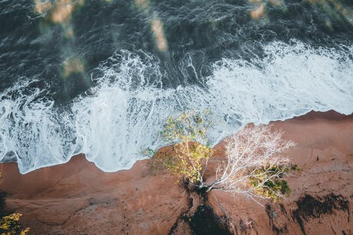 有关招手, 海, 海岸线的免费素材图片