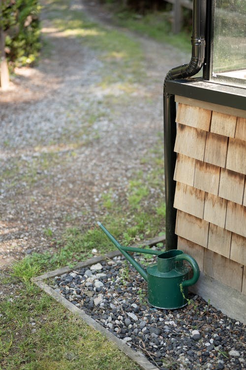 有关喷壶, 洒水器, 浇水壶的免费素材图片
