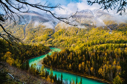有关冷静, 和平的, 天性的免费素材图片