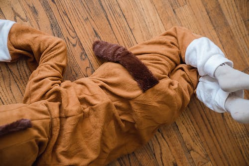 有关尾巴, 播放, 有趣的免费素材图片