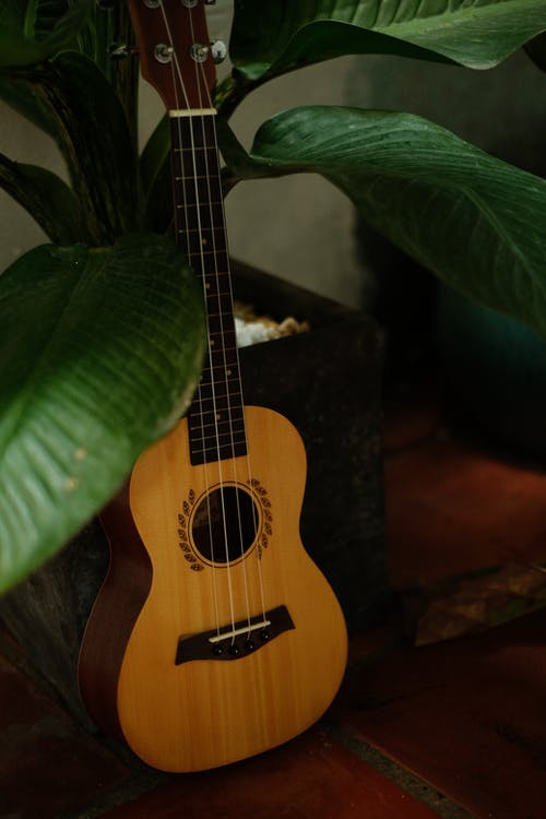 有关原声吉他, 四弦琴, 垂直拍摄的免费素材图片