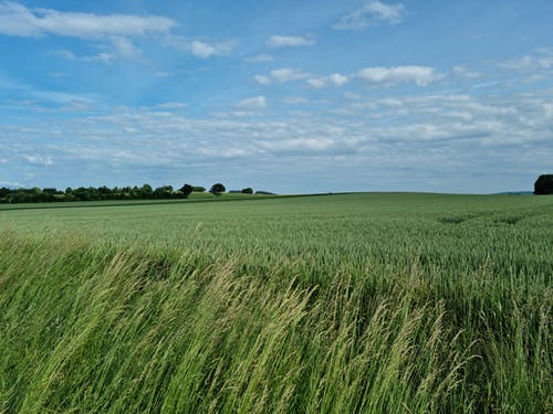 有关和平的, 天性, 宁静的免费素材图片