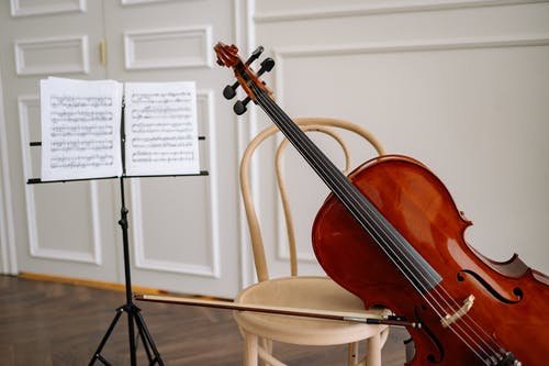 有关大提琴, 弦乐器, 乐器的免费素材图片