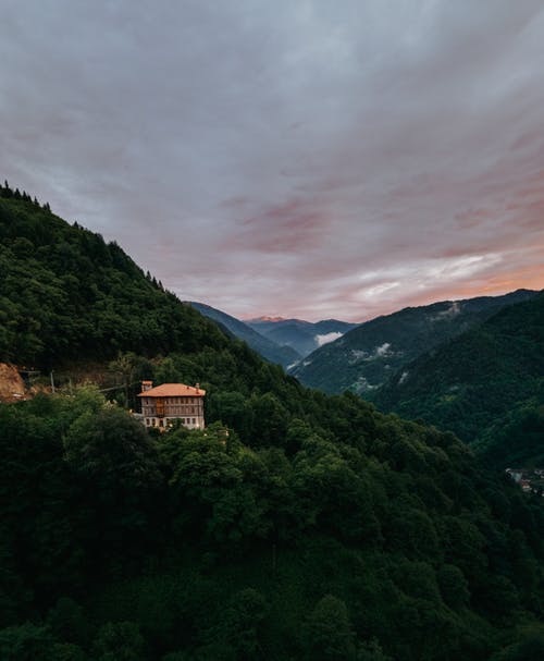 有关垂直拍摄, 天性, 户外的免费素材图片