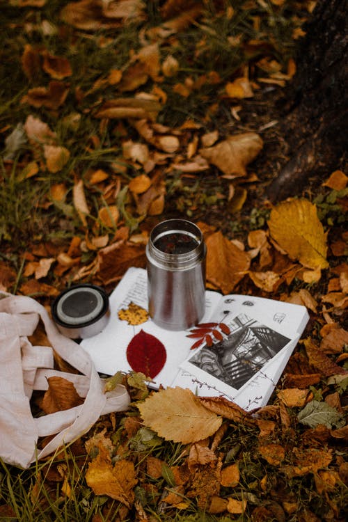 有关下落, 不倒翁, 不锈钢的免费素材图片