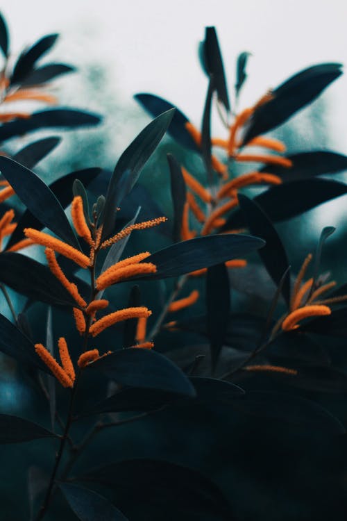 有关垂直拍摄, 工厂, 戶外的免费素材图片