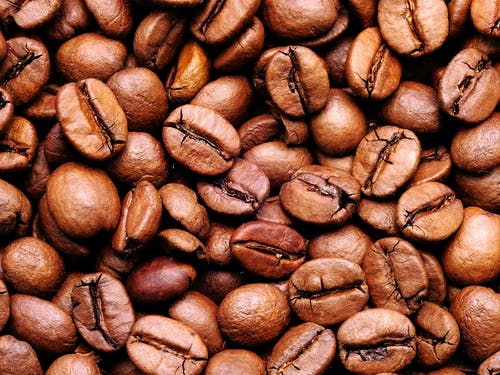 有关咖啡豆, 特写, 罗布斯塔的免费素材图片