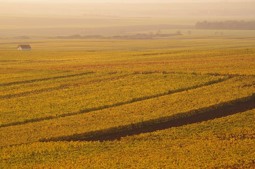 有关天性, 户外, 环境的免费素材图片