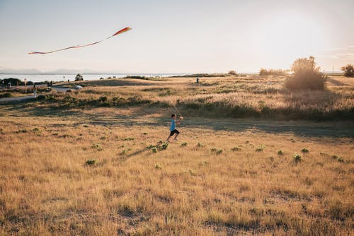 有关休闲, 儿童, 全景的免费素材图片