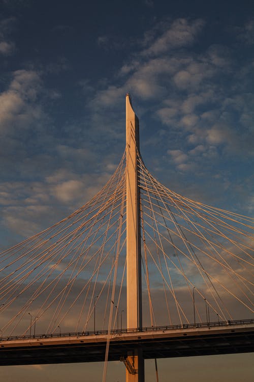有关光, 吊桥, 圣彼得堡的免费素材图片