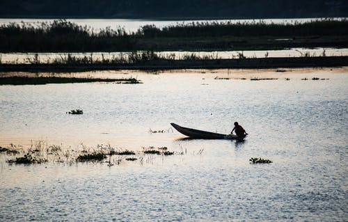 有关木船, 沼泽, 湖的免费素材图片