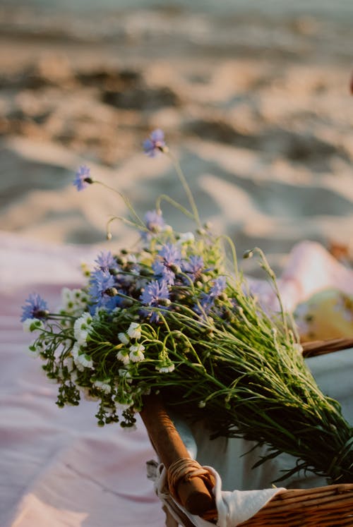 有关审美, 微妙, 柳條籃的免费素材图片