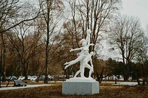 有关下落, 公园, 冷的免费素材图片