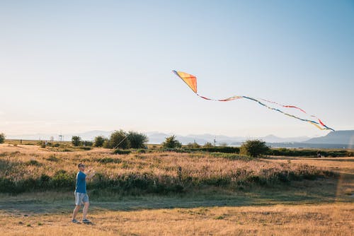 草地上放风筝的人 · 免费素材图片