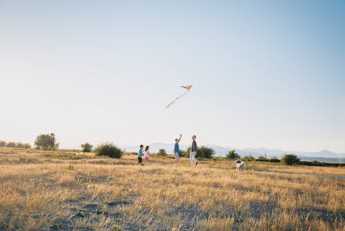 幸福的家庭在草地上玩风筝 · 免费素材图片