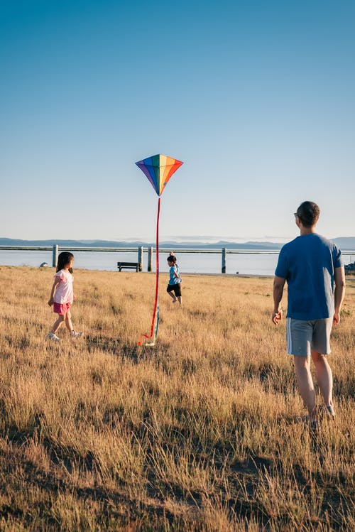 幸福的家庭在草地上玩风筝 · 免费素材图片