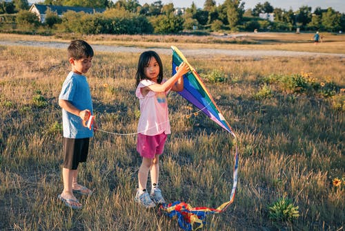 孩子们在草地上玩风筝 · 免费素材图片