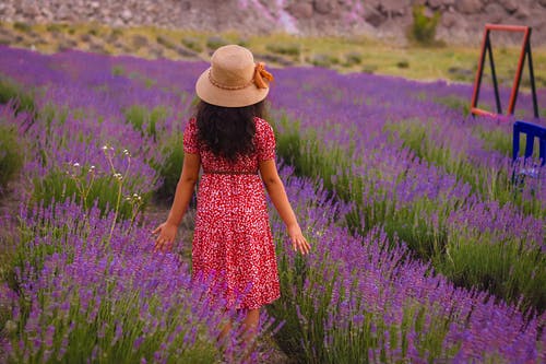 有关太阳帽, 女孩, 年轻的免费素材图片