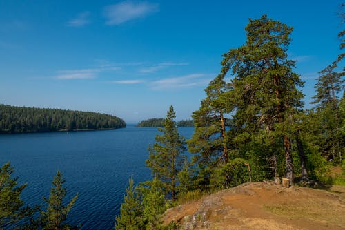 有关俄国, 俄罗斯自然, 圣彼得堡的免费素材图片