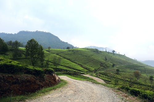 有关天性, 山顶, 户外的免费素材图片