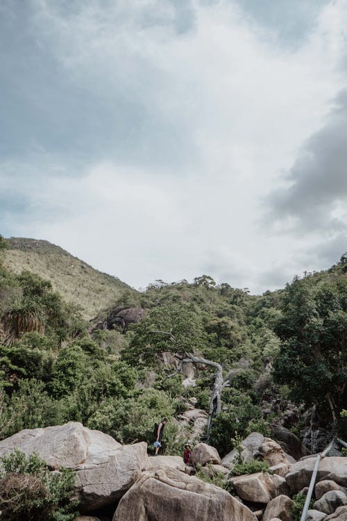 有关冒险, 天性, 小路的免费素材图片