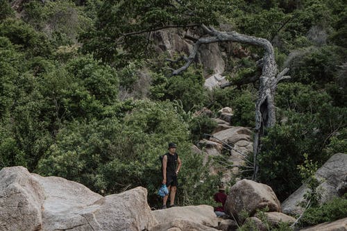有关冒险, 天性, 小路的免费素材图片