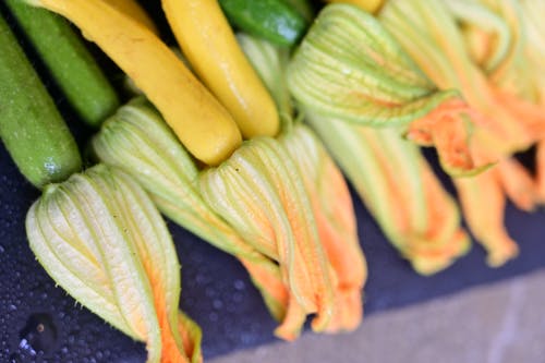 有关健康, 南瓜花, 多叶的免费素材图片