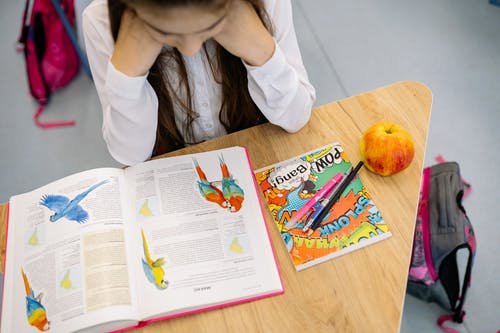 有关一般开销, 学习, 打开的书的免费素材图片