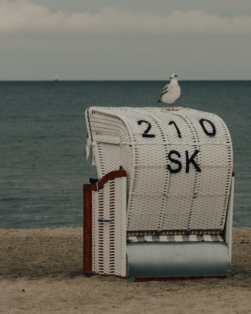 有关假日, 假期, 冷静的免费素材图片